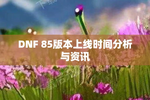 DNF 85版本上线时间分析与资讯