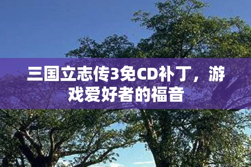 三国立志传3免CD补丁，游戏爱好者的福音
