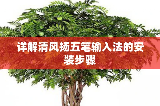详解清风扬五笔输入法的安装步骤
