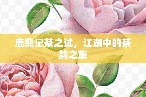 鹿鼎记茶之试，江湖中的茶韵之旅