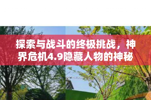 探索与战斗的终极挑战，神界危机4.9隐藏人物的神秘面纱