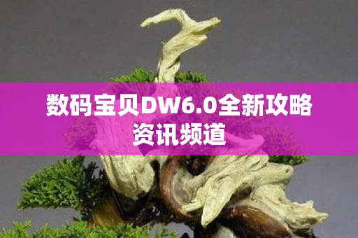 数码宝贝DW6.0全新攻略资讯频道