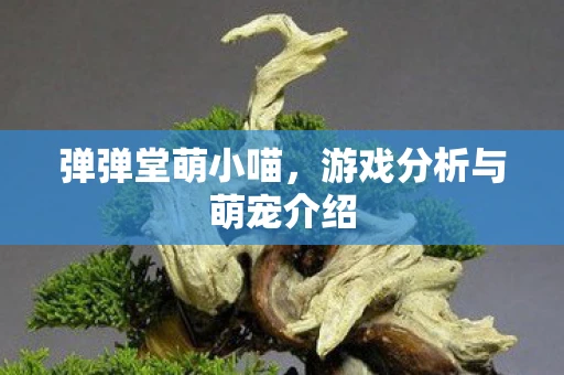 弹弹堂萌小喵，游戏分析与萌宠介绍