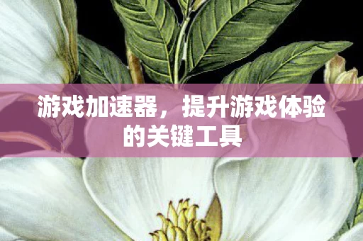 提升游戏体验的关键工具图片