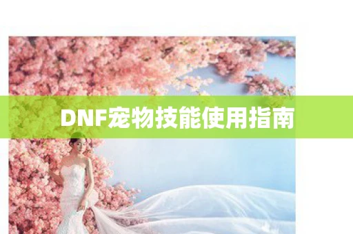 DNF宠物技能使用指南