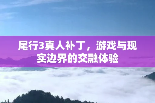 尾行3真人补丁，游戏与现实边界的交融体验