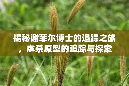 揭秘谢菲尔博士的追踪之旅图片