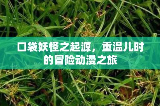 口袋妖怪之起源，重温儿时的冒险动漫之旅