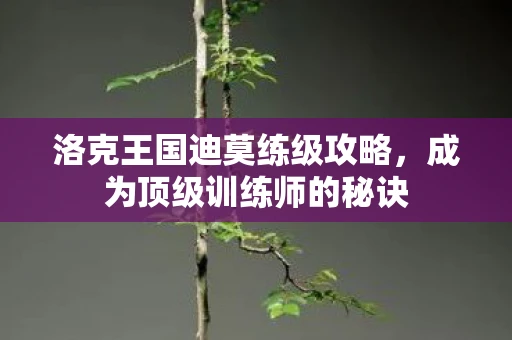 洛克王国迪莫练级攻略，成为顶级训练师的秘诀