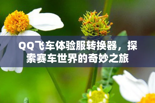 QQ飞车体验服转换器，探索赛车世界的奇妙之旅