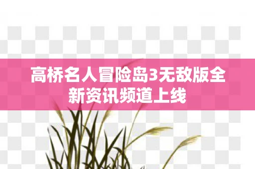 高桥名人冒险岛3无敌版全新资讯频道上线