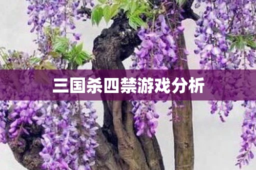 三国杀四禁游戏分析
