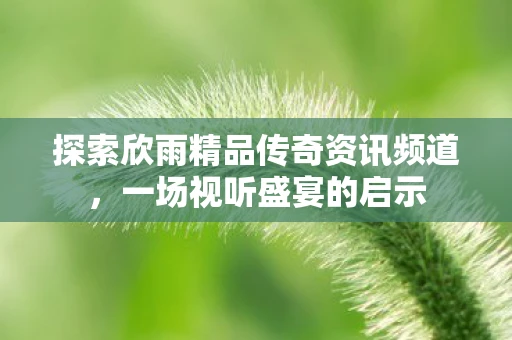 探索欣雨精品传奇资讯频道，一场视听盛宴的启示