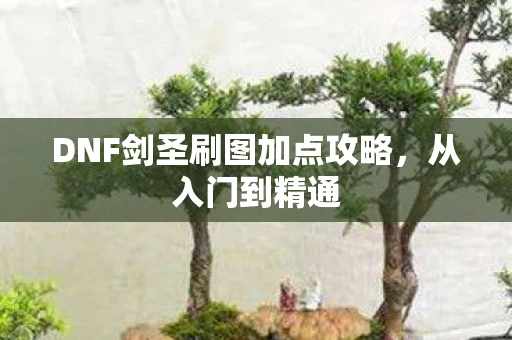 DNF剑圣刷图加点攻略，从入门到精通