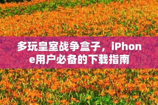 多玩皇室战争盒子，iPhone用户必备的下载指南