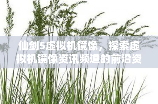 仙剑5虚拟机镜像，探索虚拟机镜像资讯频道的前沿资讯