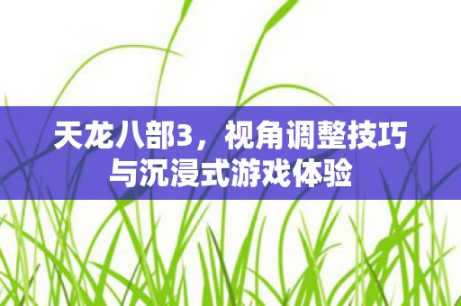 天龙八部3，视角调整技巧与沉浸式游戏体验