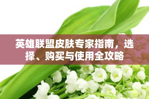 英雄联盟皮肤专家指南，选择、购买与使用全攻略