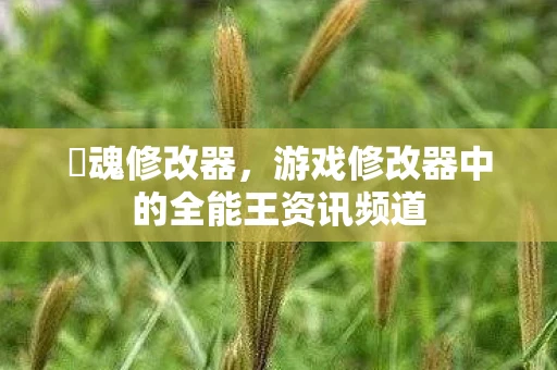 囧魂修改器，游戏修改器中的全能王资讯频道