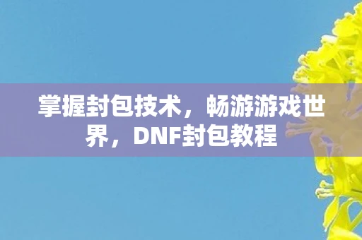 掌握封包技术，畅游游戏世界，DNF封包教程