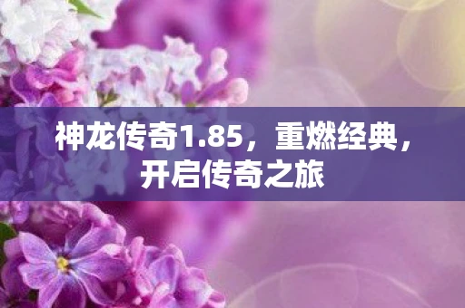 神龙传奇1.85，重燃经典，开启传奇之旅