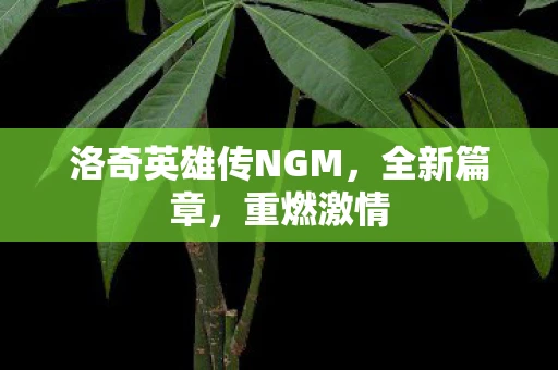 洛奇英雄传NGM，全新篇章，重燃激情