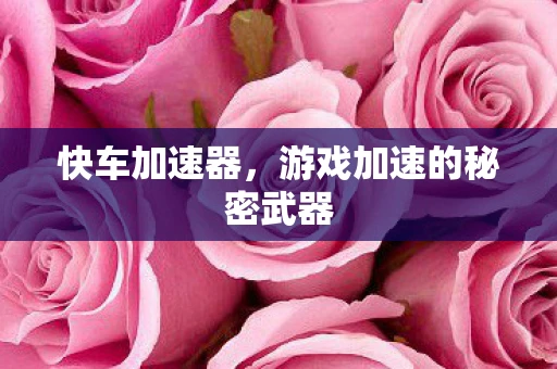 快车加速器，游戏加速的秘密武器