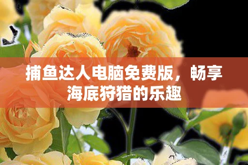 捕鱼达人电脑免费版，畅享海底狩猎的乐趣