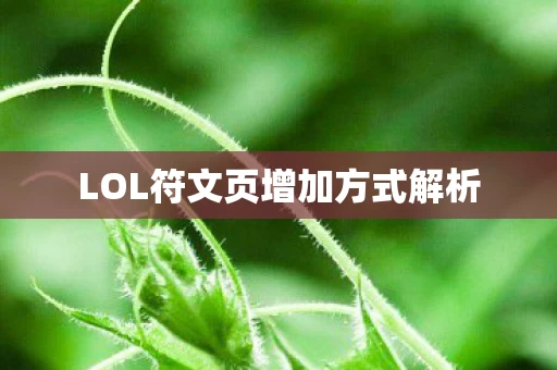 LOL符文页增加方式解析图片