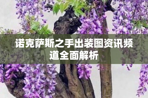 诺克萨斯之手出装图资讯频道全面解析