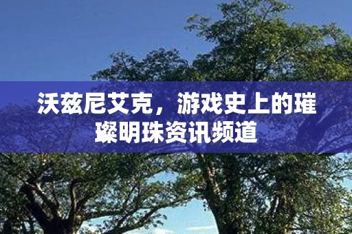 沃兹尼艾克，游戏史上的璀璨明珠资讯频道