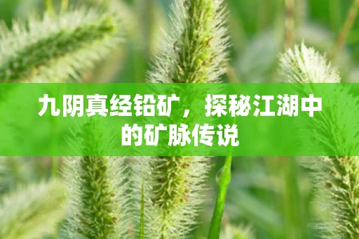 九阴真经铅矿，探秘江湖中的矿脉传说