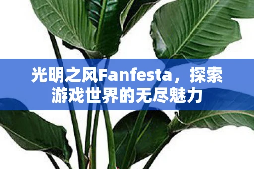光明之风Fanfesta，探索游戏世界的无尽魅力