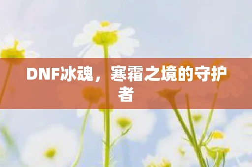 DNF冰魂，寒霜之境的守护者
