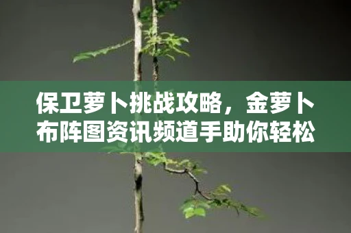 保卫萝卜挑战攻略，金萝卜布阵图资讯频道手助你轻松通关第31关