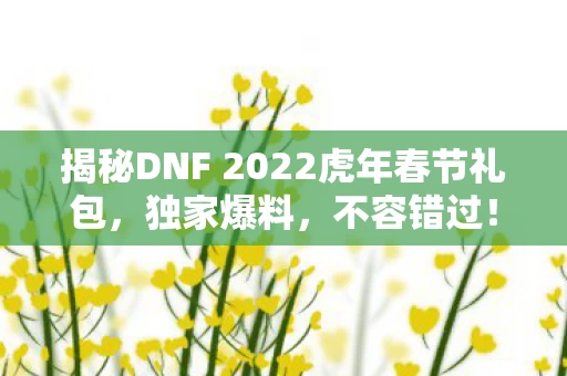 揭秘DNF 2022虎年春节礼包图片