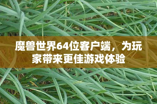 魔兽世界64位客户端，为玩家带来更佳游戏体验