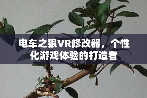 电车之狼VR修改器，个性化游戏体验的打造者