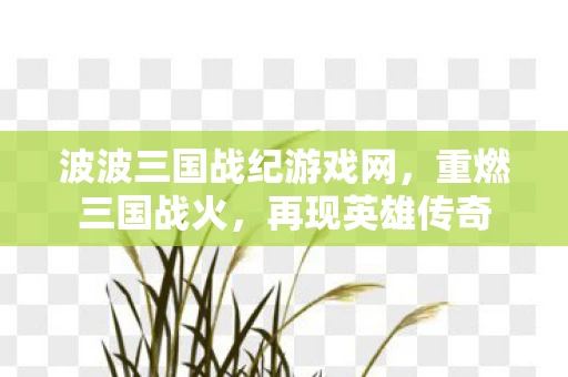 波波三国战纪游戏网，重燃三国战火，再现英雄传奇