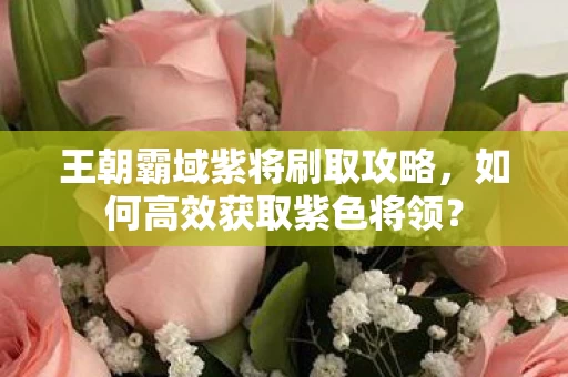 王朝霸域紫将刷取攻略图片