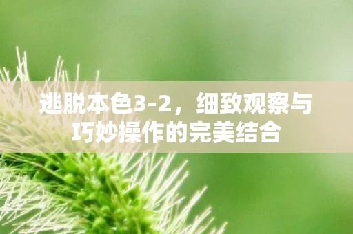 逃脱本色3-2，细致观察与巧妙操作的完美结合
