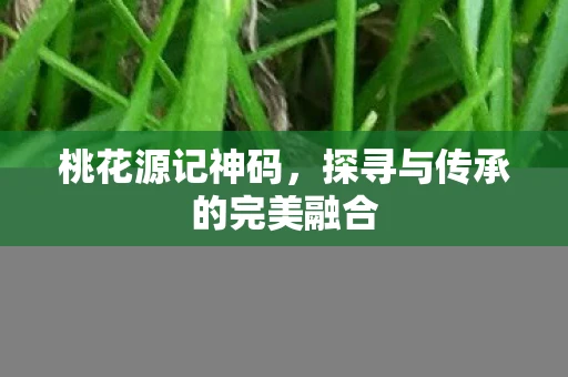 桃花源记神码，探寻与传承的完美融合