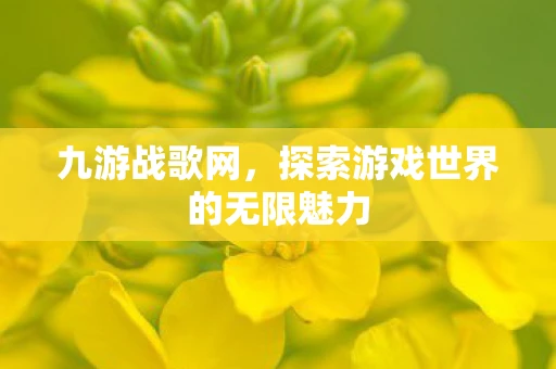 九游战歌网，探索游戏世界的无限魅力