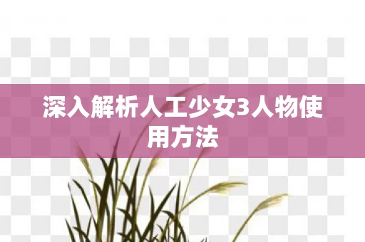 深入解析人工少女3人物使用方法图片