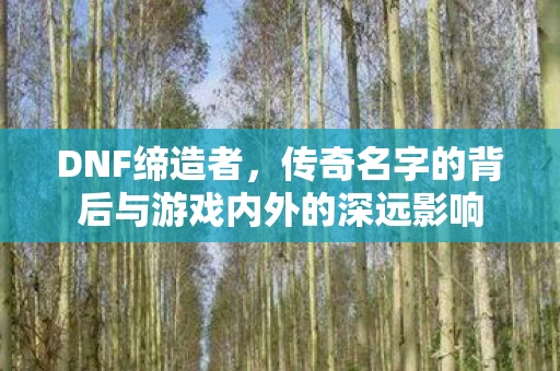 DNF缔造者，传奇名字的背后与游戏内外的深远影响