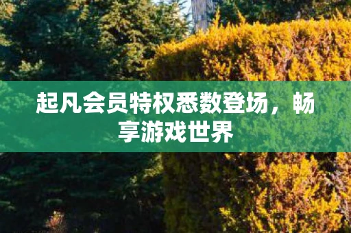起凡会员特权悉数登场，畅享游戏世界