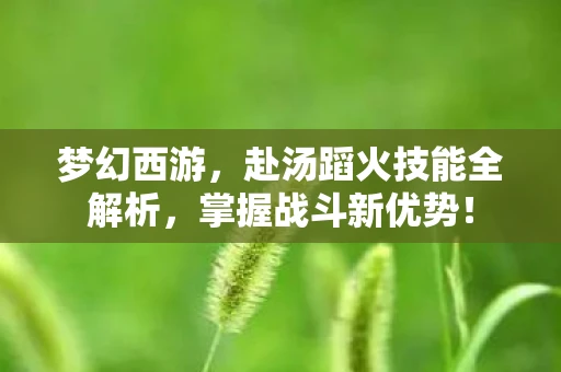 梦幻西游，赴汤蹈火技能全解析，掌握战斗新优势！