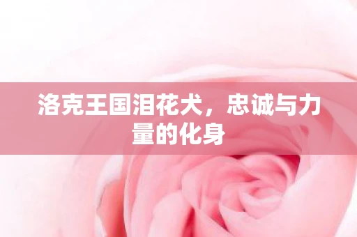 洛克王国泪花犬，忠诚与力量的化身