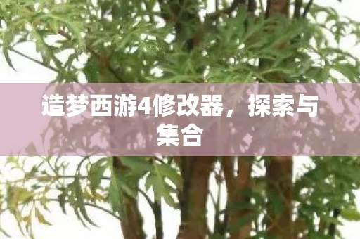 造梦西游4修改器图片
