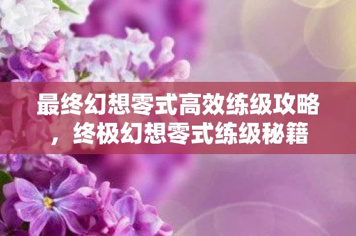 最终幻想零式高效练级攻略，终极幻想零式练级秘籍